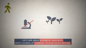 How can we decrease our environmental impact? (Part 2 without voice) by De la graine à l'humus